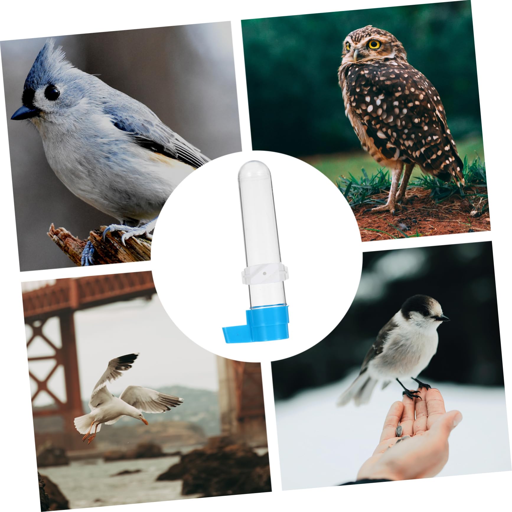 Toddmomy 10piezas Bebedero Automático para Pájaros De Botella Plástica para Alimentación De Dispositivo De Agua para Aves Accesorios De Jaula para Periquitos y