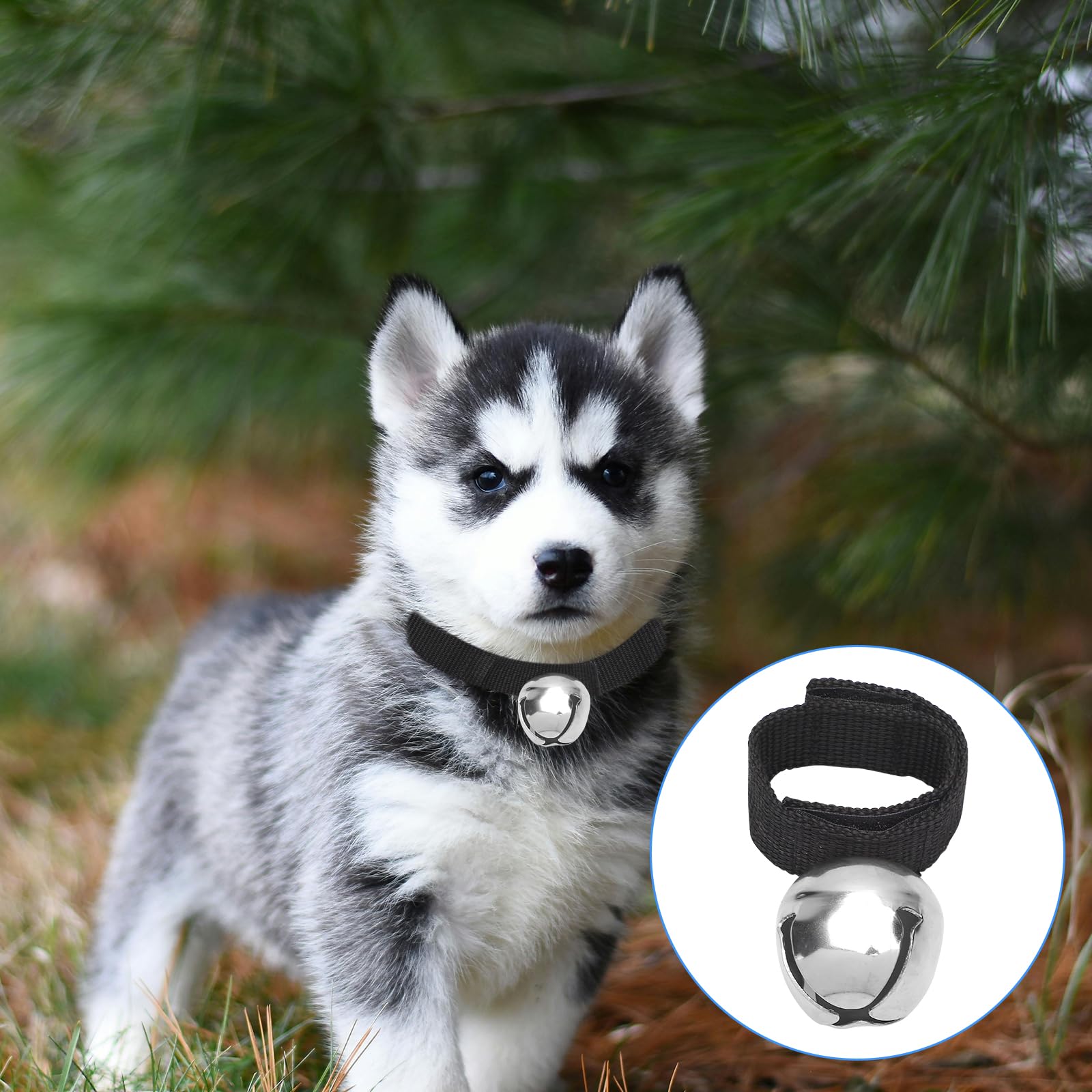 Campanello E Fischietto Orso Per Escursionismo - Con Moschettone, Per Allontanare Animali E Segnalazioni Di Emergenza - Foto 10