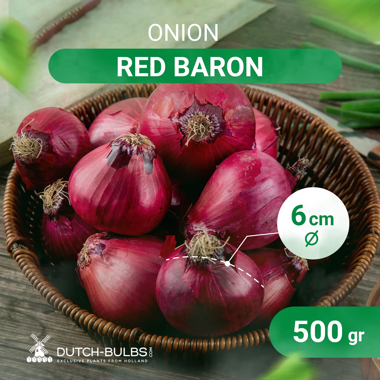 Oignons De Plantation Red Baron - 500g, Bulbes 14-21mm, Variété Hiver - Pour Jardin, Balcon, Récolte Abondante - 5