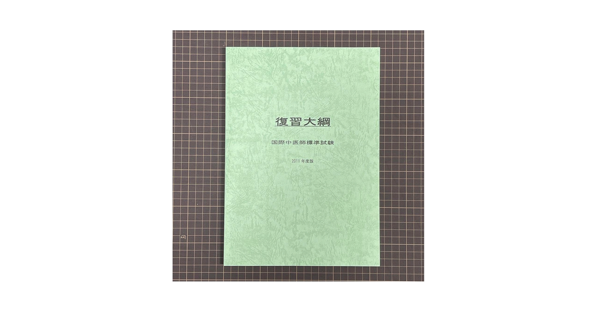 国際中医師標準試験 復習大綱 2011年度版 71pkvXDVcPL.jpg_BO30,255,255,