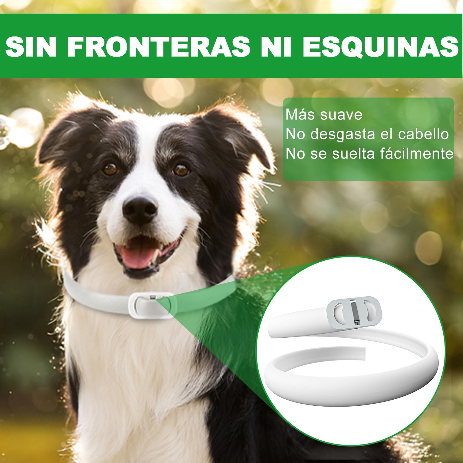 Pack 2 Collares Antiparasitarios para Perros, 24 Meses de Protección contra Pulgas, Garrapatas y Mosquitos - 100% Natural, Impermeable, Ajustable, para Todos los Tamaños — view 4