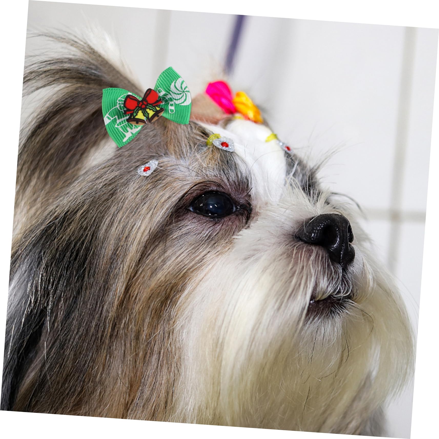 COLLBATH Fiocco Natale Cane 300 Pz Porta di Animali Domestici Fiocco di Cane Fiocchi di Cane di Natale Fascia per di Natale Corda per di Animali Domestici Fiocco di Natale per Cani