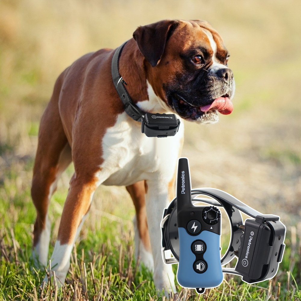 Happy Hound Dog Training Collar With Remote Platinum Series