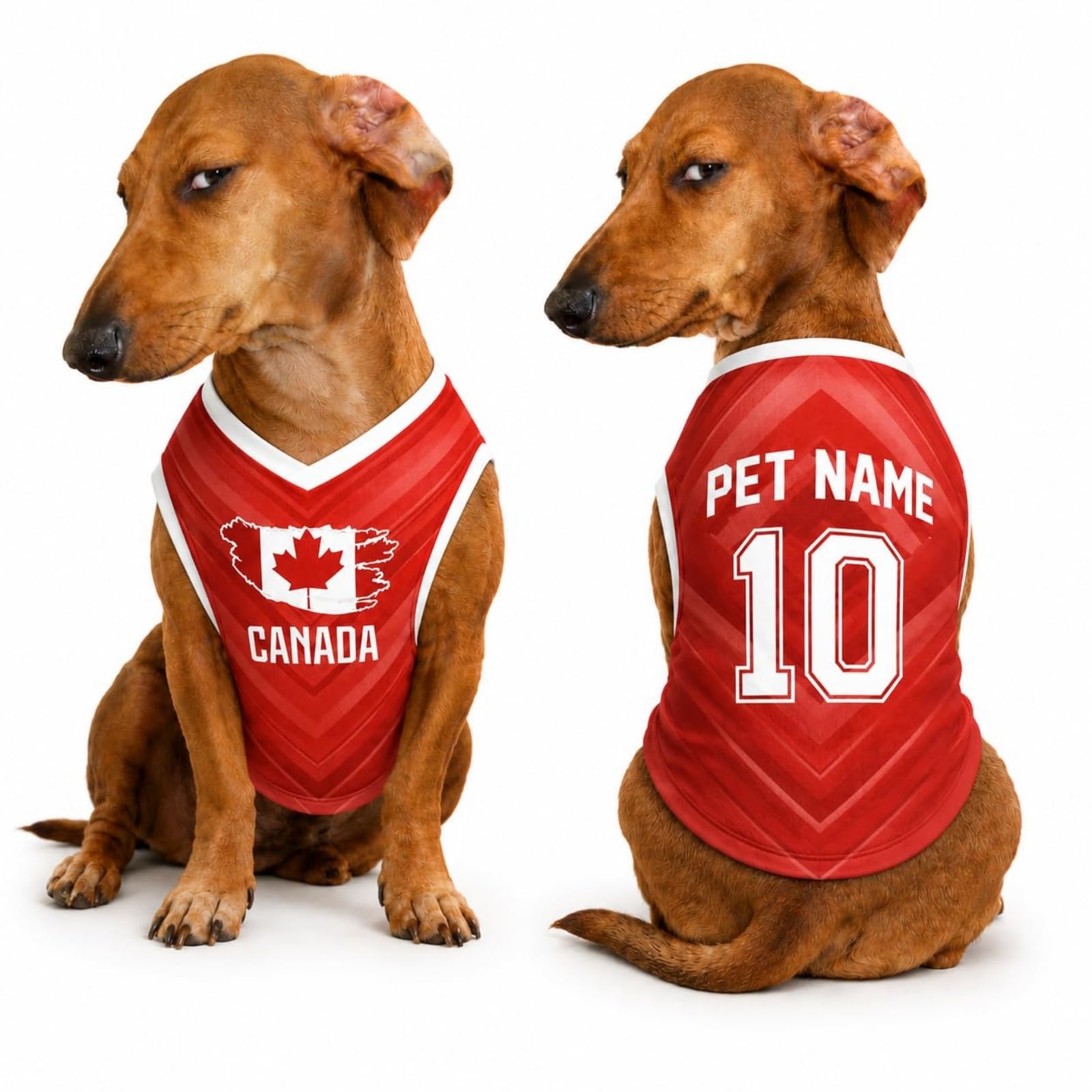 Custom Dog Football Jersey with Name Number Logo, Personalised 2026 Pet Jersey, Breathable Quick Dry T-Shirt for Small Medium Large Dogs, Gift for Fans
