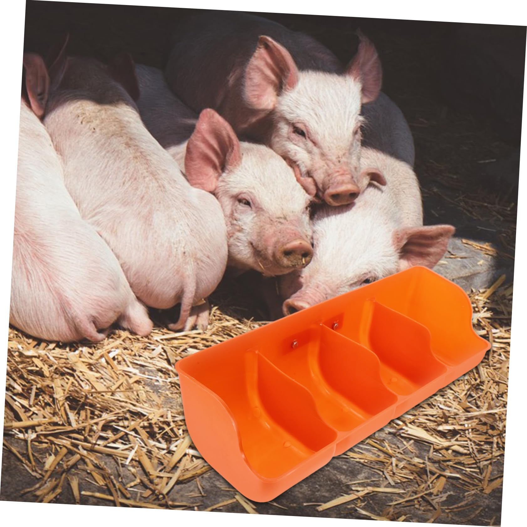 VICASKY Mangeoire à Cochons Robuste en Pp Plusieurs Compartiments Anti-déversement et Résistante à L'usure pour Alimentation sur Ferme D'élevage Porcin
