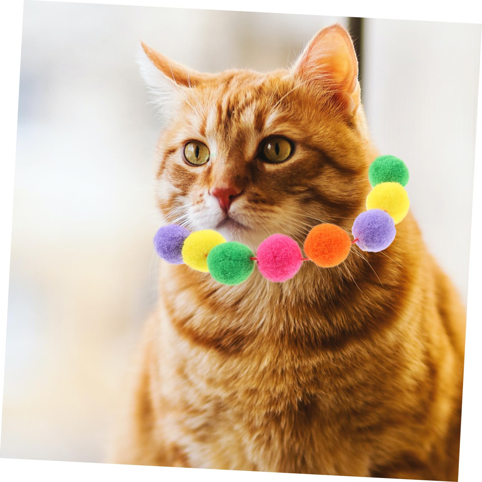 POPETPOP 10 STK Haustierhalsband Katze hundehalsband tragbares Hundehalsband Tragbares Kätzchenhalsband Bunte Haustierhalsbänder einstellbar Plüschkugel Weihnachtskatze schmücken Haarball