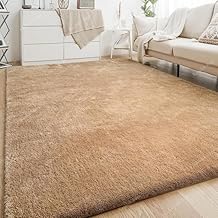 Kashish Rugs Rectangular Shaggy Rug Handmade Microfiber Cozy Super Soft & Plush Fluffy Shaggy Carpets With 2 Inch Thickness 4 X 6 Feet -Pure Beige