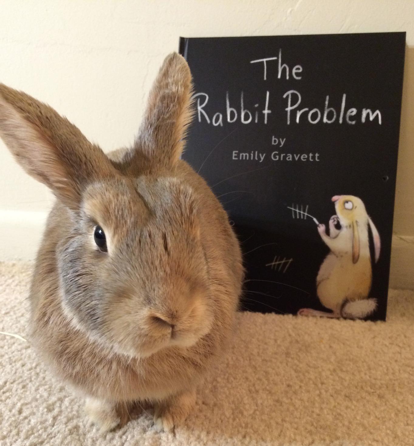 The Rabbit Problem by Emily Gravett 1 edition (2010): Emily Gravett ...