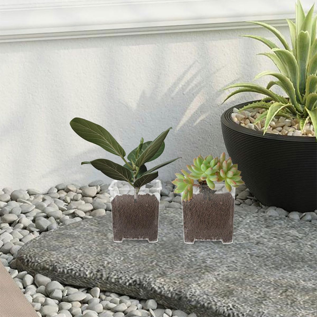 Pots de Jardin Carrés Transparents en Acrylique pour Orchidées Phalaenopsis, Lot de 4 Pots Trous, pour Pépinière et Rempotage