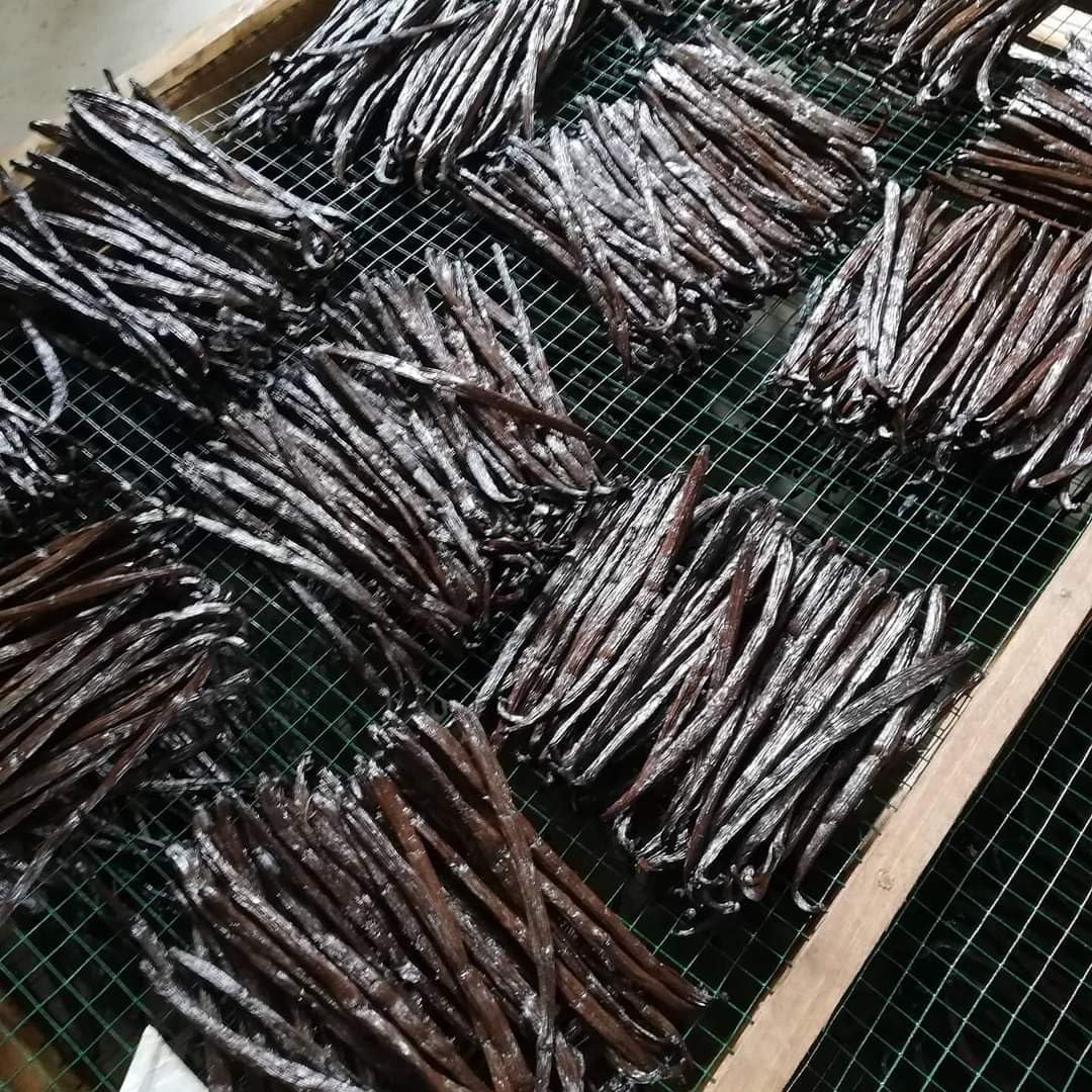 10 Baccelli Di Vaniglia Borbone Del Madagascar - Aroma Intenso E Sapore Delicato In Tubo (12 A 14 CM, 10.00, unità)