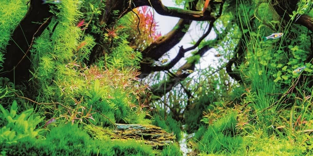 Under Water Aquatic Tree Branch Aquarium Background Selfadhesive Poster Sticker Fish Tank Backdrop Decorations for Big Gallon Tank (72" x 28"/ 183 x 71cm)