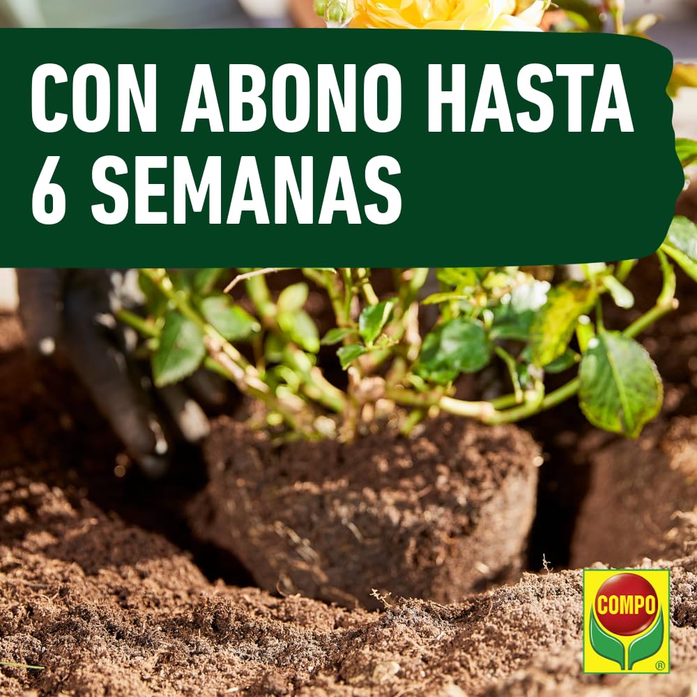 COMPO SANA Substrato Universal de calidad con 6 a 8 semanas de abono para plantas de interior, terraza y jardín, Substrato de cultivo, 10 L — view 6