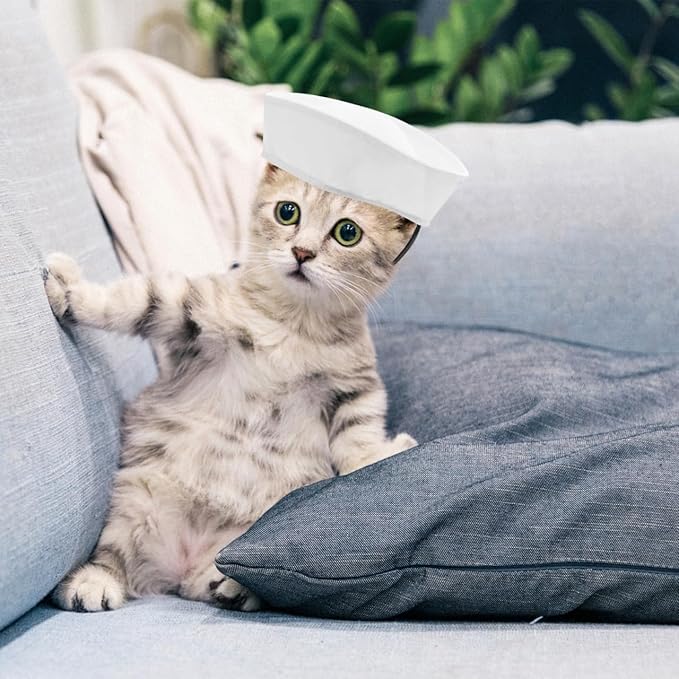 Gorra de marinero para perro pequeño ABOOFAN, accesorio para fiestas y fotos miniatura 3