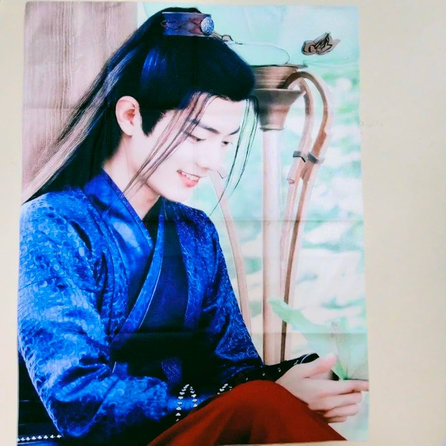 BXです❣ Lサイズ　王一博 肖戦 タペストリー 0806確認用 Amazon.co.jp: 肖戦 タペストリー 陳情令 王一博 肖? シャオ