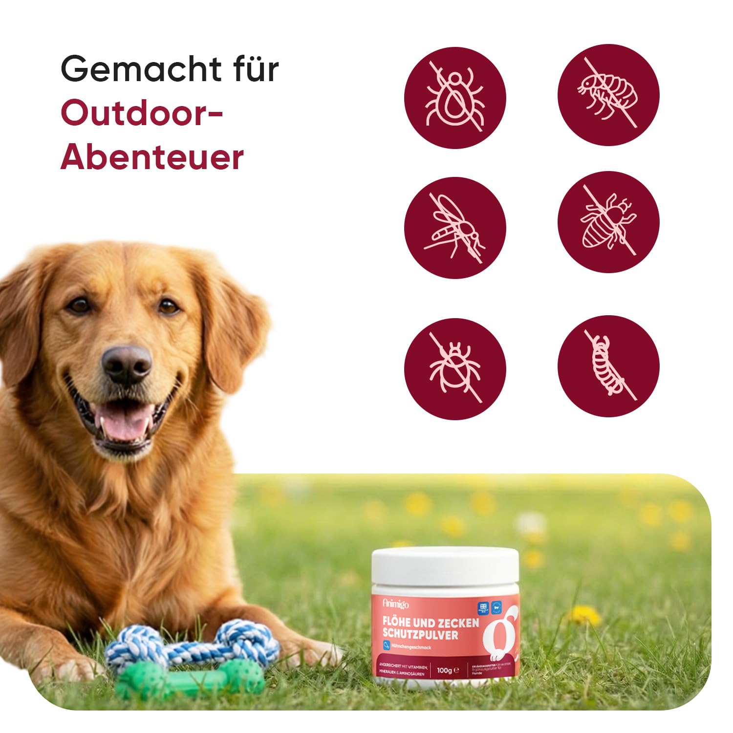 animigo Flohpulver - Zeckenschutz für Hunde - 100 g Pulver - Mit zusätzlichen Vitaminen, Mineralien & Aminosäuren wie Bierhefe, Zink, Vitamin B3, B1 & B2 - Hühngeschmack - Flohmittel Hund