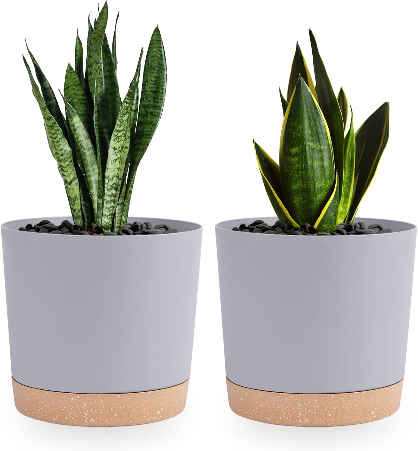 Plant Pots Set of 2 Pack 6.5 inch,Planters for Indoor