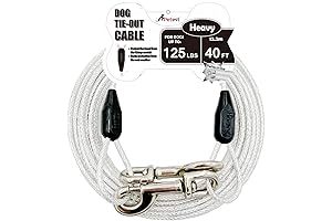 Heavy-Duty Reflective Dog Tie Out Cable - 40ft