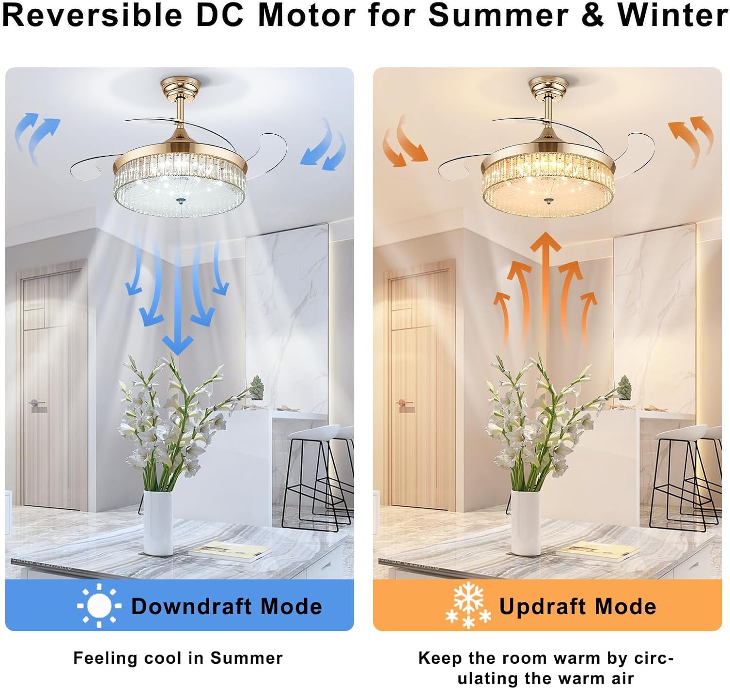 LED Light Dimming and Color Options