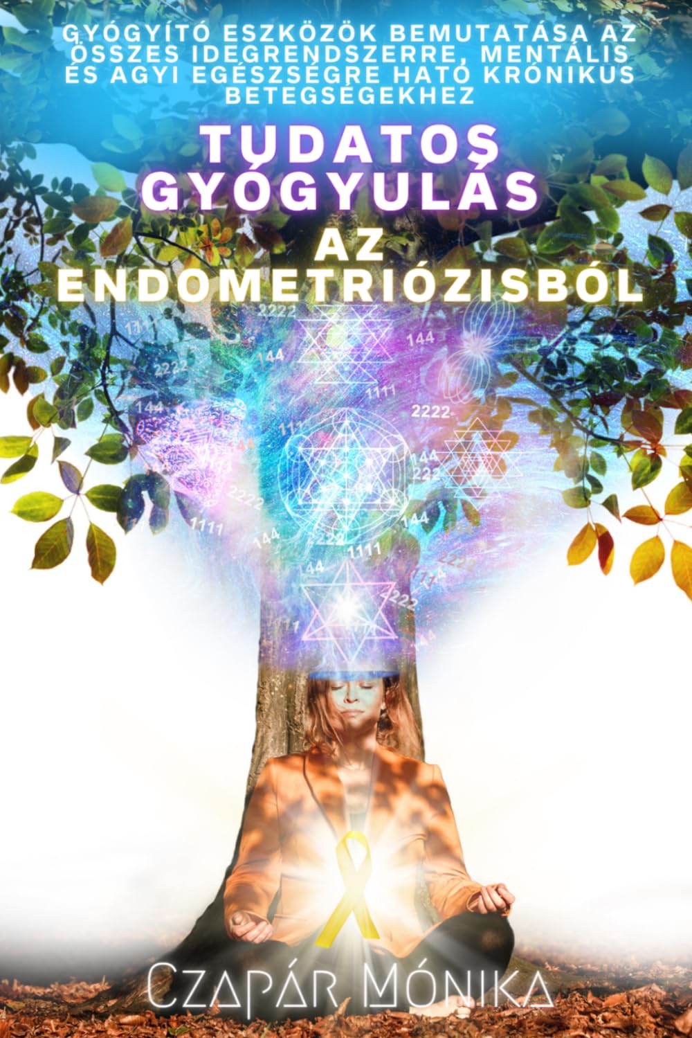 Tudatos Gyógyulás az Endometriózisból: Gyógyító eszközök bemutatása az összes, idegrendszerre, mentális és agyi egészségre ható krónikus betegséghez
