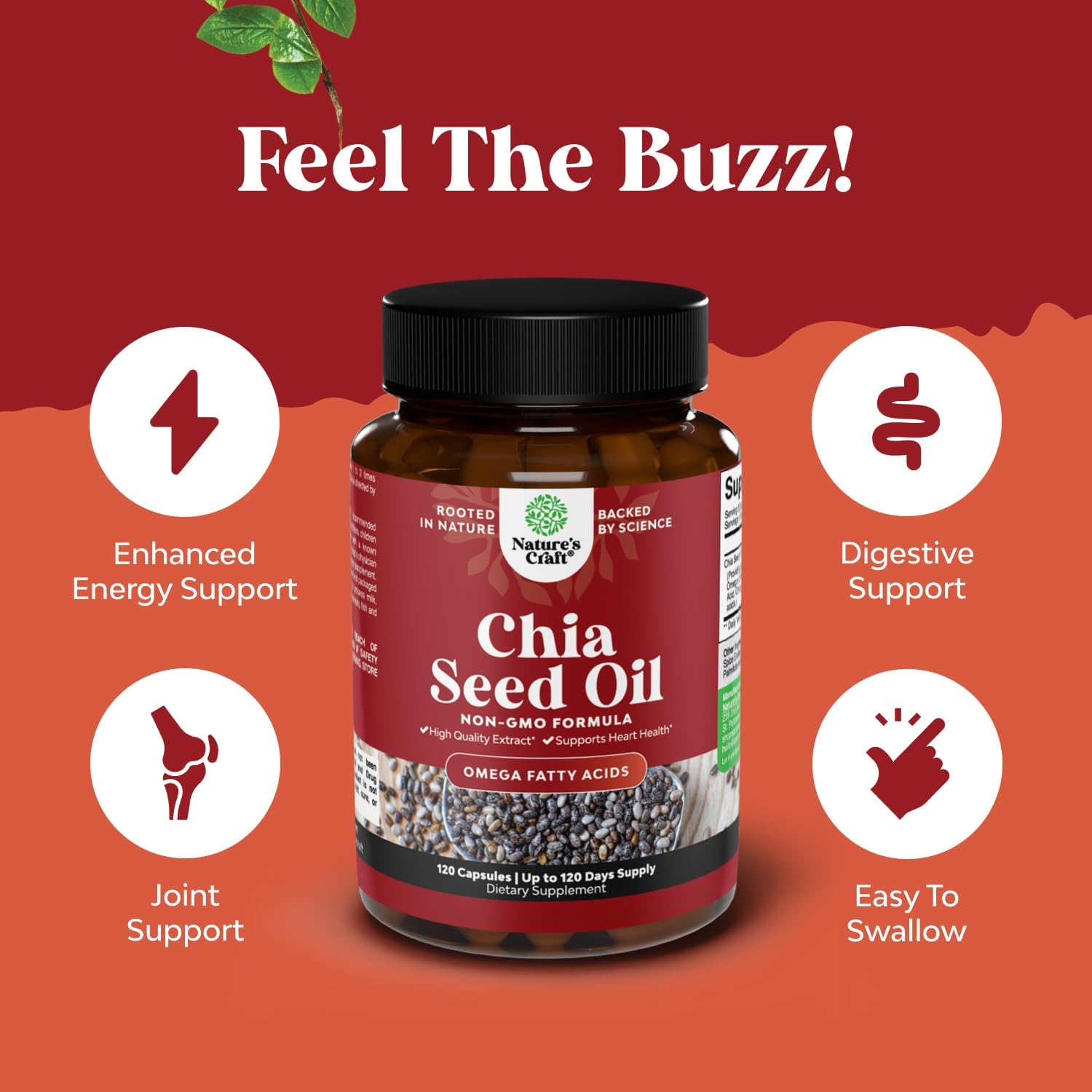 Bundle of Nootropic Brain Supplement for Memory and Focus Enhancement - Cognitive Complex for Mind Vitality and Chia Seed Oil Extract Capsules Plant Based Omega 3 6 9 Supplement for Digestive Support