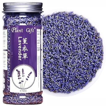 Plant Gift Dried Lavender Flowers 40G/1.41oz - Premium Grade. Perfect for Tea, Lavender Tea Baking, Baths. Fresh Fragrance. Gluten-Free, Non-GMO