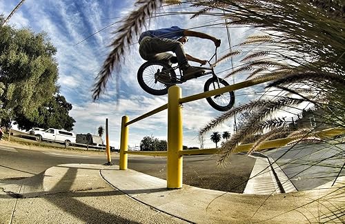 Miniatura 6 de SSE Trípode Deluxe de 50 pulgadas con indicador de nivel de burbuja incorporado + adaptador de montaje de trípode GoPro incluido - Compatible con