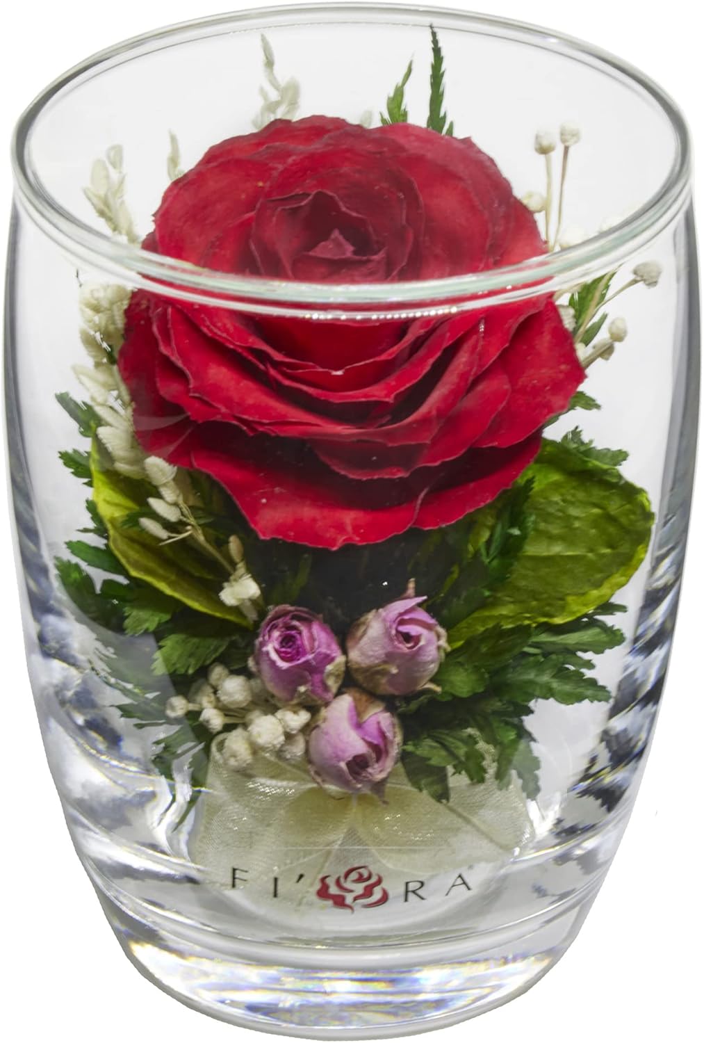 Fiora Flower | Long Lasting Real Roses in a Sealed Vase | Lasts up to 5 Years | Unique Present Gift
