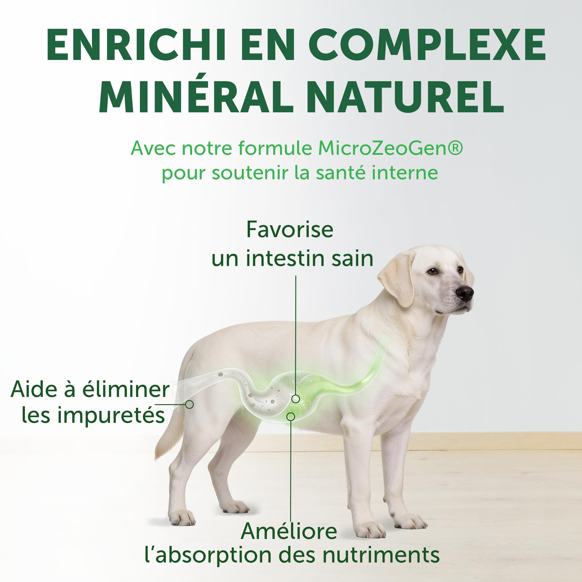 Nature's Protection Superior Care Aliment Chien, Poisson Blanc 4 kg | Anti-traces de larmes, pelage blanc éclatant, Grandes croquettes, Pelages blancs/clairs, Toutes races, Chiots et adultes