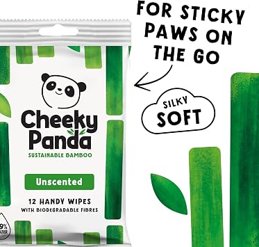 The Cheeky Panda Bamboo Hand Wipes | 12 Travel Wipes | 100% Plastic Free and Biodegradable Wet Wipes