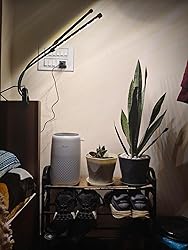 My 14-Day Experience with LEVOIT Core Mini Air Purifier + Snake Plants in Delhi Smog