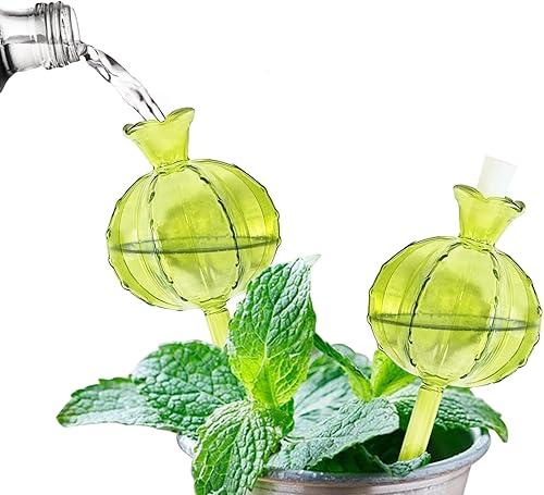 2 globos de riego automático para plantas, 9 pulgadas, cactus para riego de plantas, dispositivo de riego para interiores y exteriores, accesorios