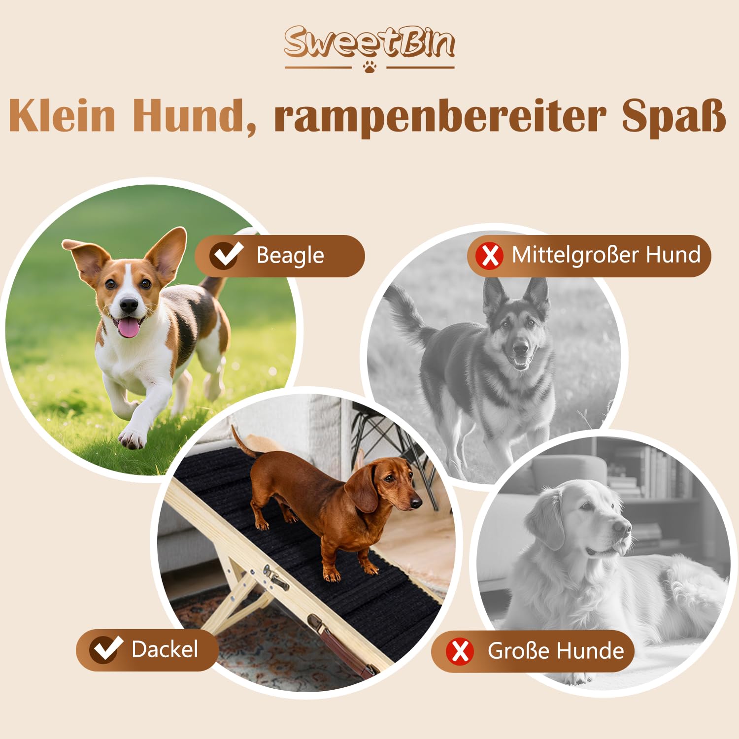 Rampe pour chien améliorée 2026 pour canapé, rampe pliable pour petit chien, 4 hauteurs réglables de 30,5 à 50,8 cm, escalier portable pour animaux de compagnie avec coussinet antidérapant, rampes