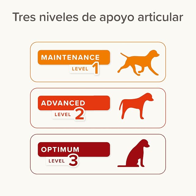 Foto 6 de 8 de Beaphar Flexifit Sticks - barritas articulares para Perros Activos - Sabor a Carne