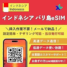 インドネシア バリ島 Esim プリペイドSIM 東南アジア eSIMプラン 高速データ通信 当日発行可能 Indonesia Bali island esim (1日間 高速データ)
