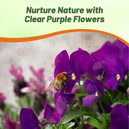 Miniatura 7 de Outsidepride Semillas de pensamiento viola púrpura transparente para plantar, 100 unidades. Flores bienales, resistentes al frío y aptas para