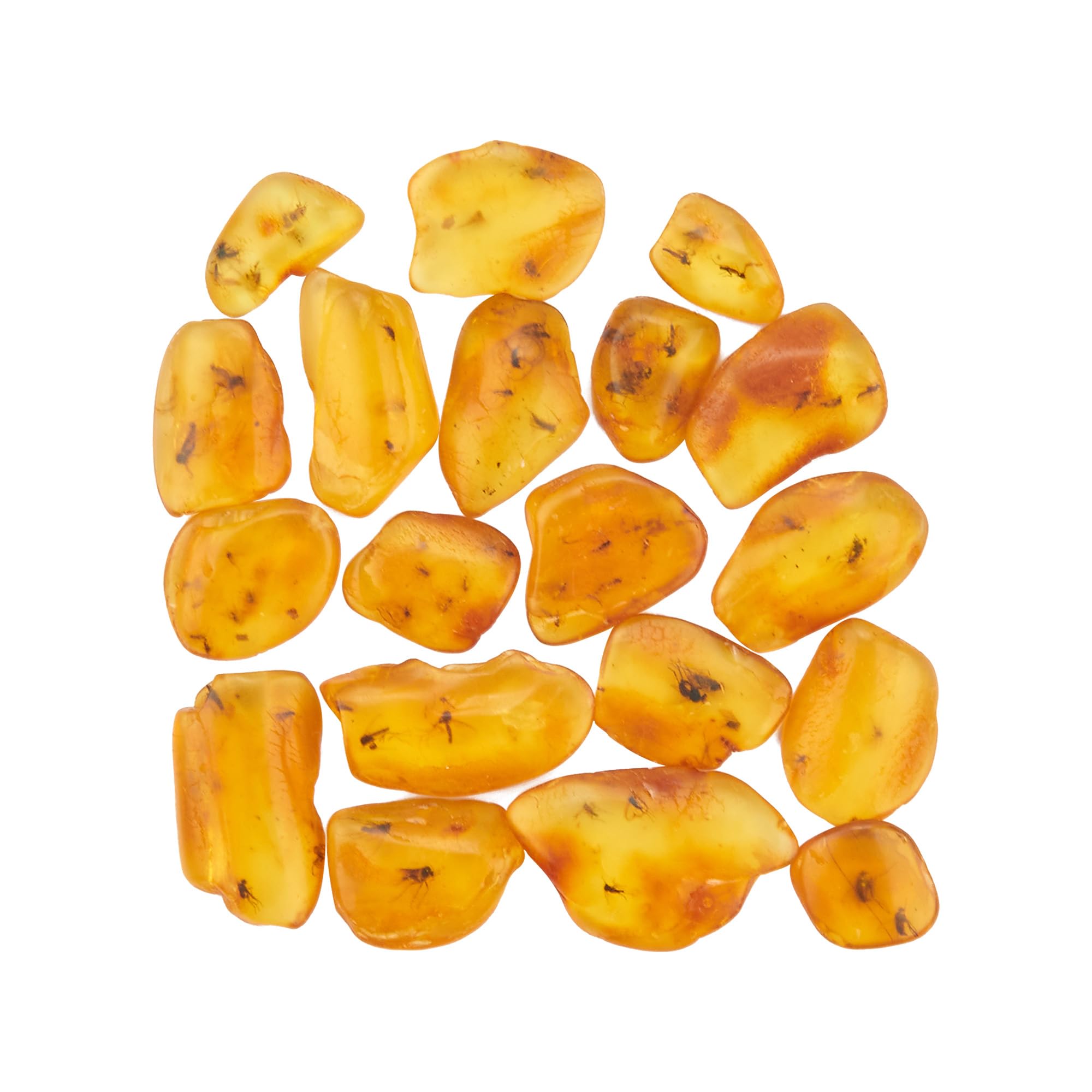Natural Baltic Ambre avec Insecte - Ensemble de 4 spécimens fossiles d'insectes ambrés - adapté aux Collections et à l'éducation Scientifique (Fossile d'ambre avec Insectes Multiples)