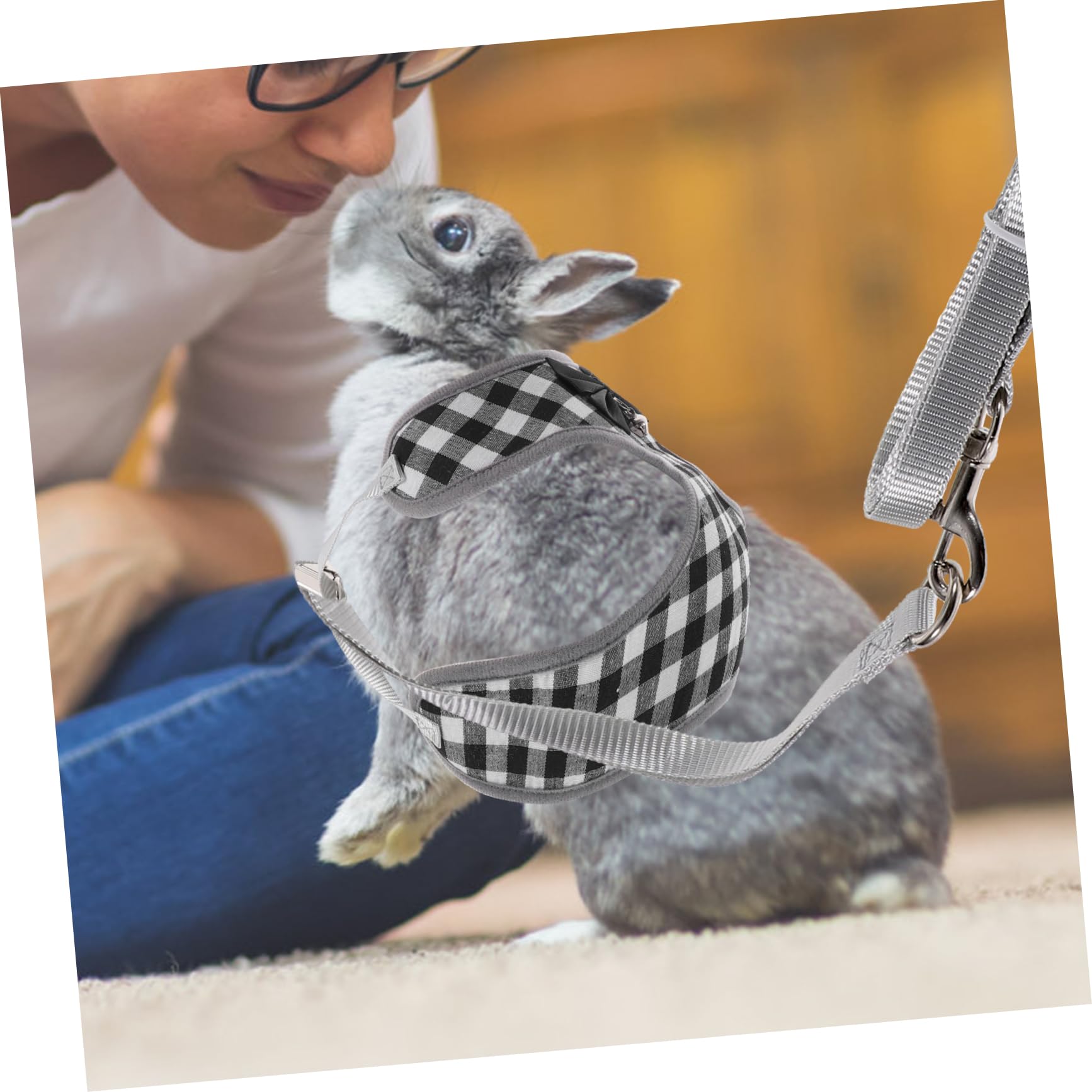 Supvox 5sätze Bunny Kleidung Für Kleine Tiere Atmungsaktives Kaninchenkostüm Und Geschirr Für Besondere Anlässe Süß Und Schwarz