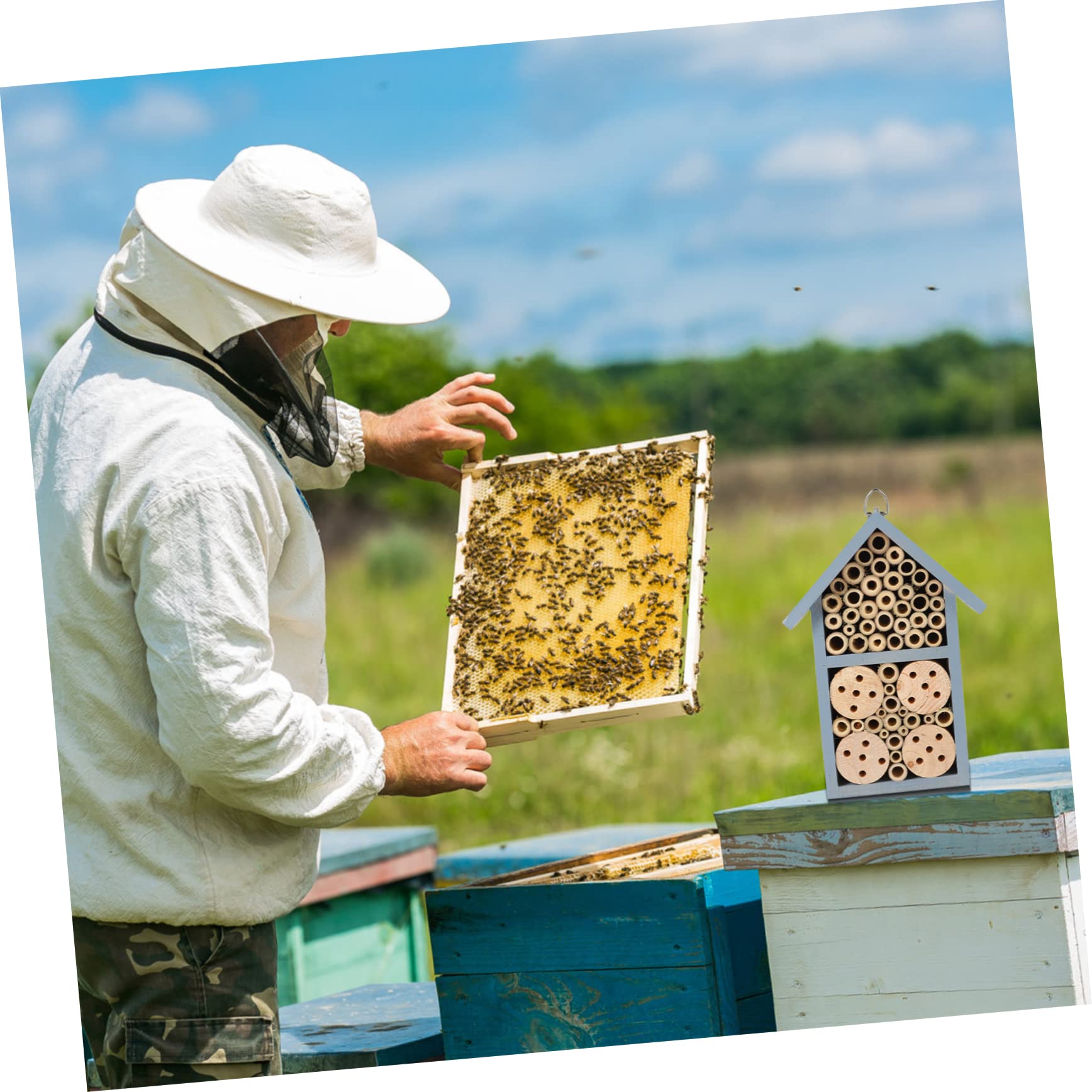 HANABASS Holz-insektenhaus Wetterfest Dekorativ Bienenhaus Für Garten Outdoor Mit Schutzdach Und Aufhängung Nisthilfe Für Wildbienen Und Andere Nützlinge Farbe Blau