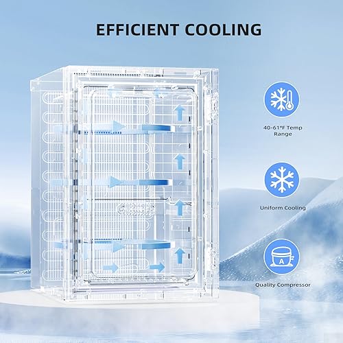 Miniatura 4 de Antarctic Star Refrigerador de bebidas de 18 litros, 24 latas, mini refrigerador con compresor silencioso, luz LED, refrigerador pequeño