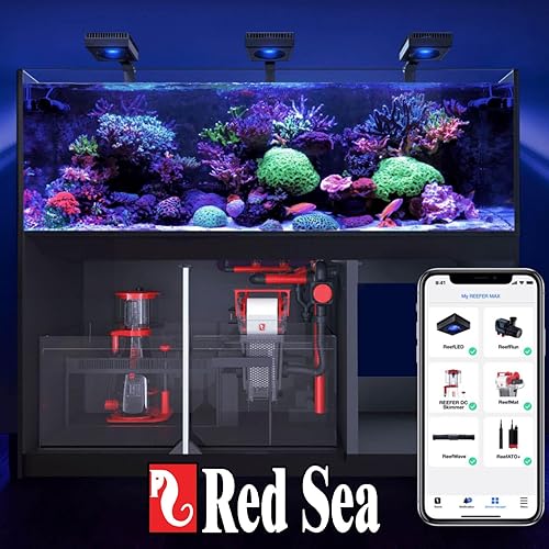 Miniatura 5 de Red Sea Reef Foundation C Suplemento de magnesio (Mg), 33.8 fl oz, mantiene el equilibrio de magnesio para corales saludables en acuarios marinos y