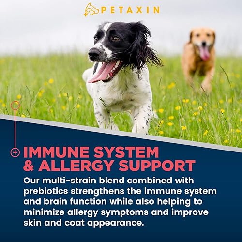 Miniatura 3 de Probióticos para perros  6 cepas con prebióticos  Apoya el sistema digestivo e inmunológico  Alivio para la diarrea, mal aliento, alergias, gases,