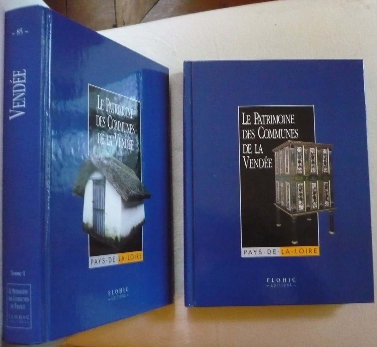 A la veille de la Vendée : le Bas-Poitou et la préparation des Etats
