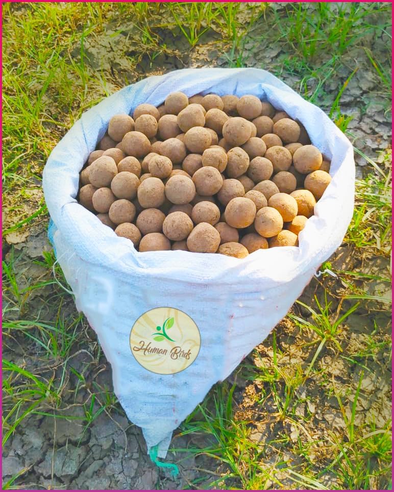 Bokashi Bran Seed Balls Just Throw & Grow (Gooseberry, Amla, Nelli Seed