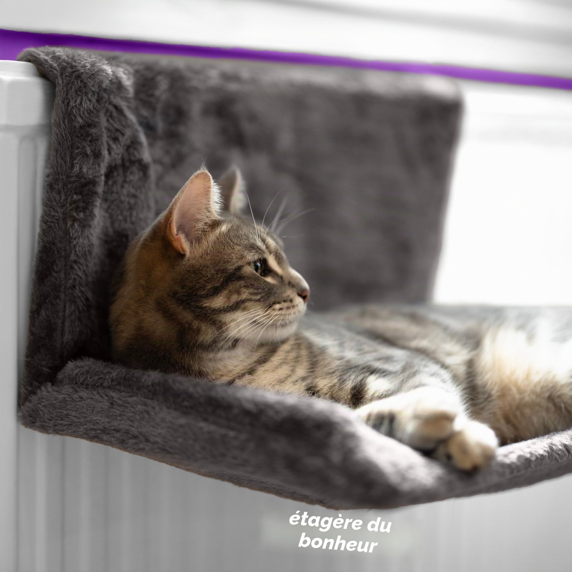 Petlicity® Lit de radiateur à suspendre pour chat et chien, chaud et confortable . Solide et durable. Avec housse lavable en machine et châssis pliable pour un rangement facile