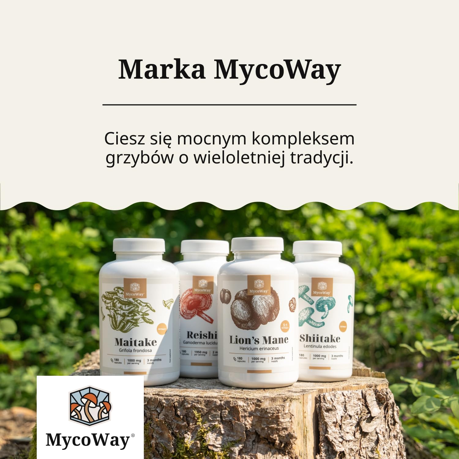Soplówka jeżowata 1000 mg – Wyciąg 5:1 – Hericium Erinaceus – 180 kapsułek – Zapas na 3–6 miesięcy – Mądry grzyb – Pomaga w poprawie koncentracji i zdolności poznawczych – Witalność