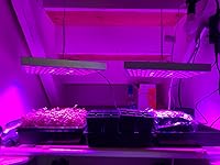 Review Image by Kaitlyn Kaitlyn