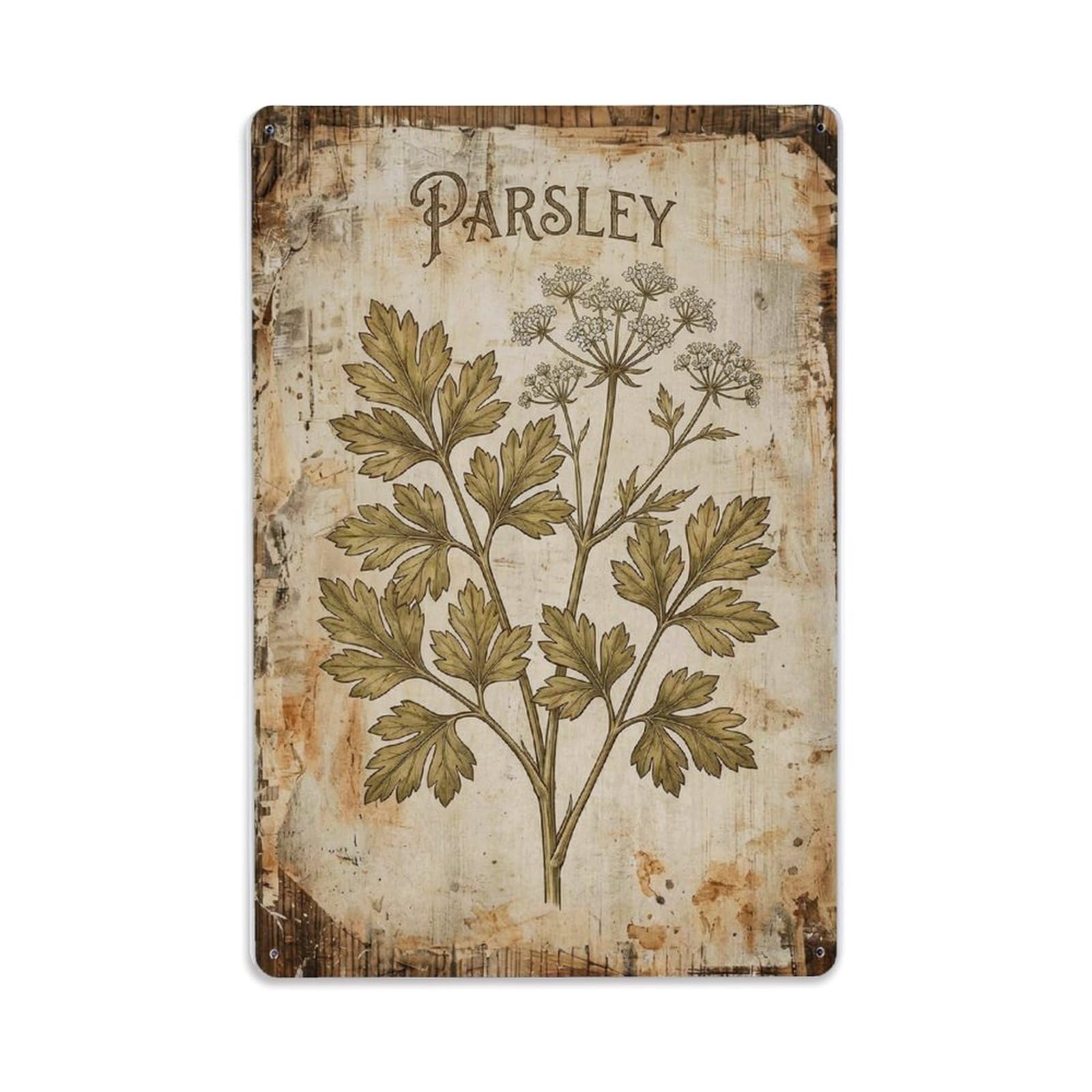 Parsley Herb Garnish Vintage Metal Tin Sign Plaque Wall Decor for Cafe, Club, Garden Metal Poster 8x12Inch