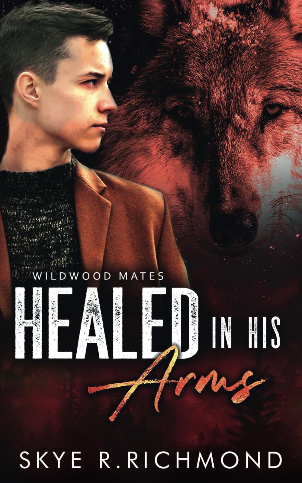 Healed In His Arms: 4 (Wildwood Mates)