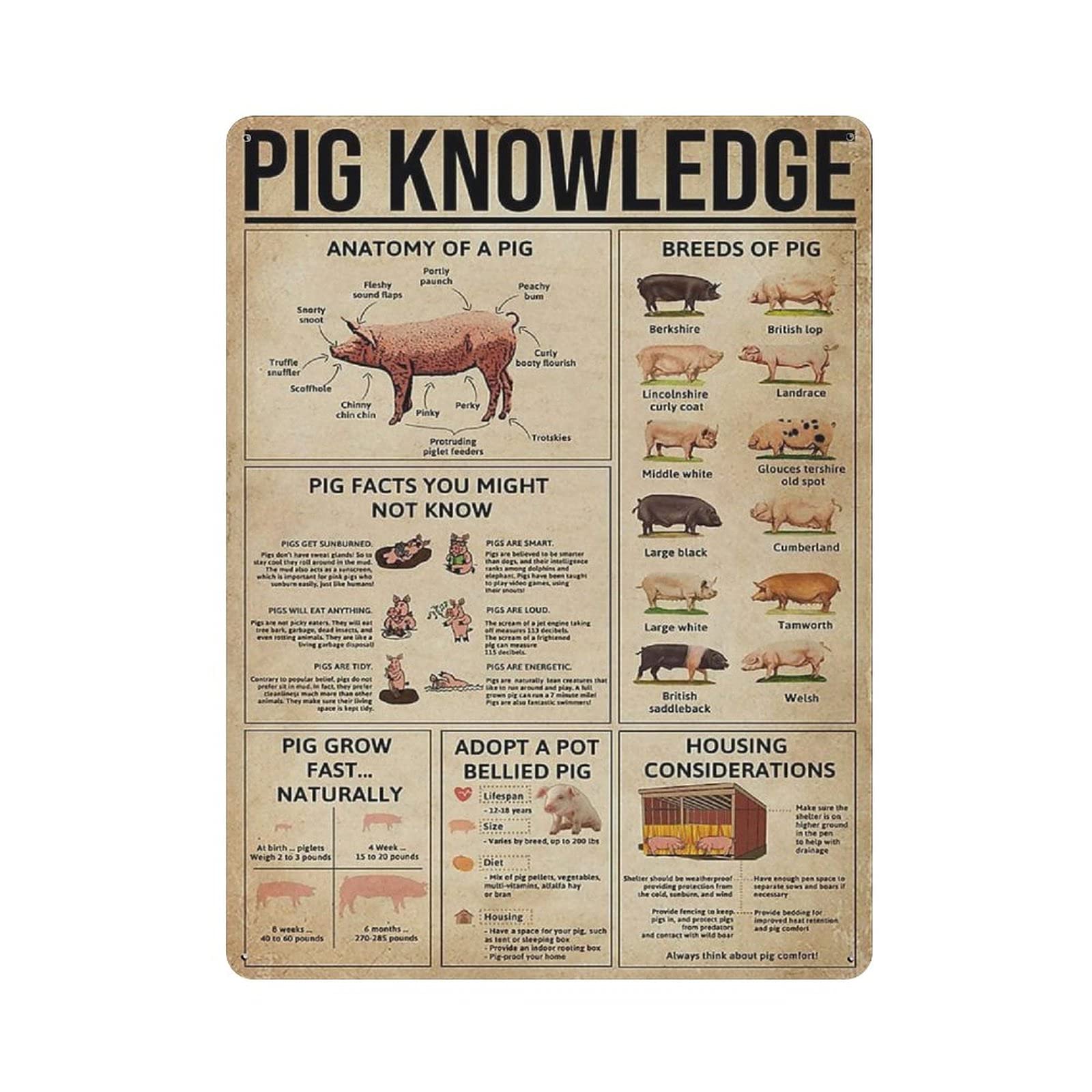 Metal Tin Sign Pig Knowledge Vintage Tin Poster Metal Sign Wall Decoration Country Kitchen Home Garage Decor 16"x12"