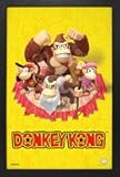Pyramid America - Donkey Kong - DK & Friends - 11 x 17 Framed Poster Wall Art Print
